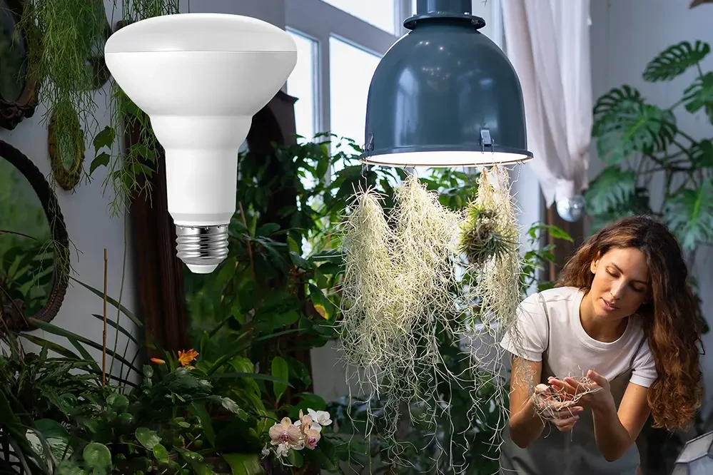 Full Spectrum LED Grow Light Bulbs