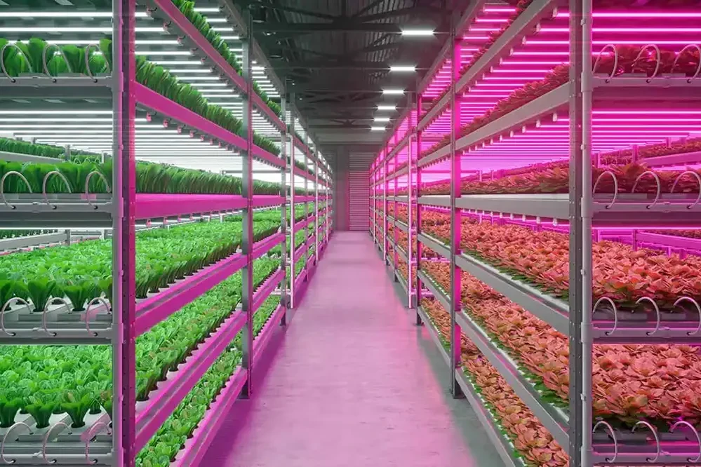 Vertical Farming LED Grow Light