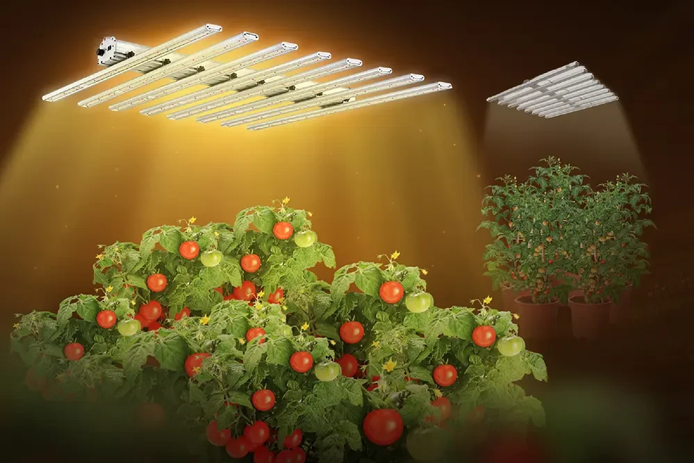 Commercial & Horticultural LED Grow Light