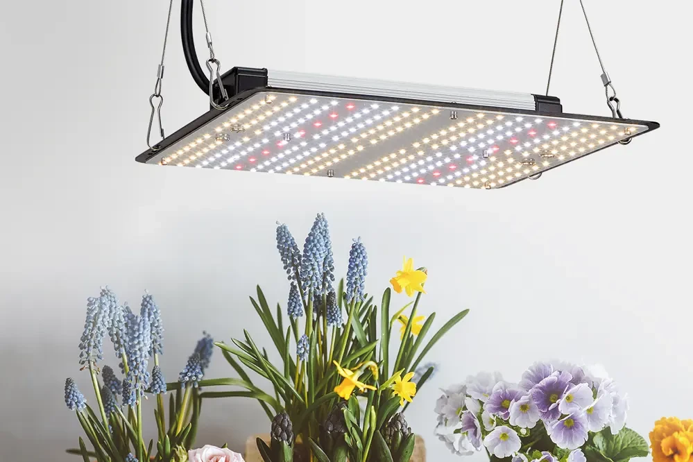 Full Spectrum LED Grow Light Panel