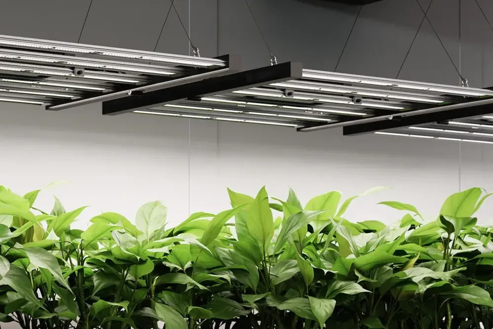 Industrial LED Grow Lights for Seedlings