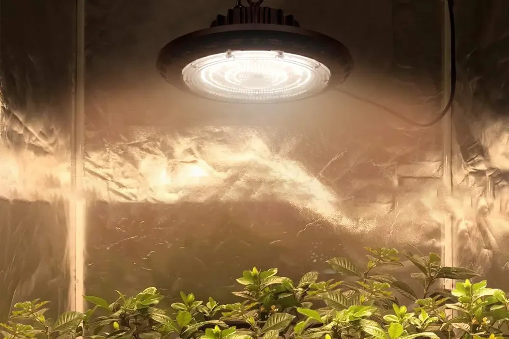 Full Spectrum UFO LED Grow Light 