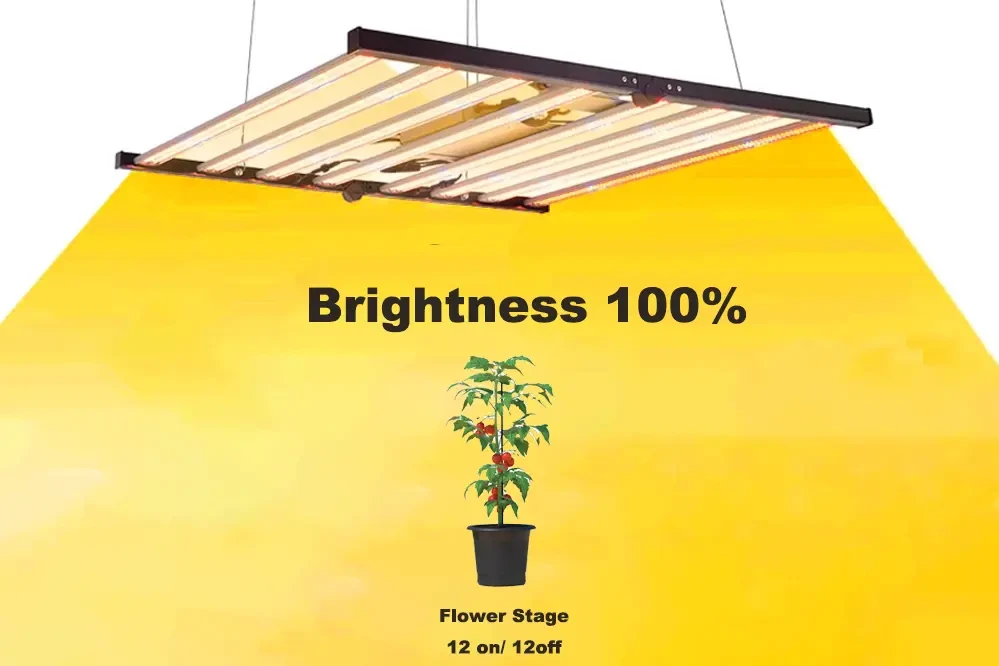 Flower Stage